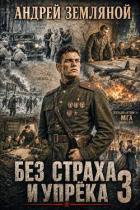 Книга Без страха и упрёка 3 (СИ)