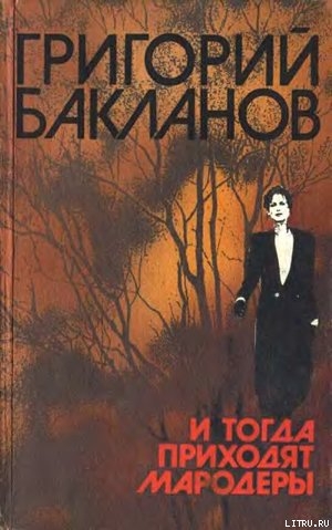 Книга И тогда приходят мародеры