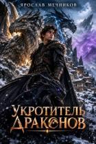 Книга Укротитель Драконов VI (СИ)