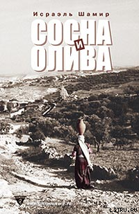 Книга Сосна и олива или Неприметные прелести Святой Земли