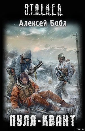 Книга Пуля-Квант